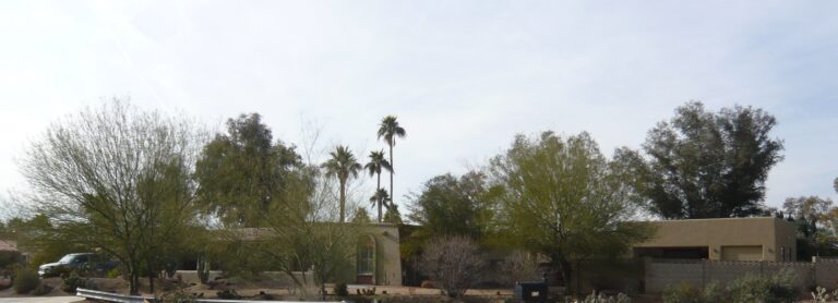 8120 Panorama 1 768x278